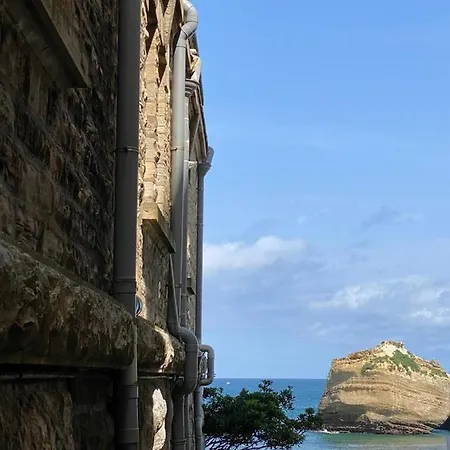 Studio A Moins De 10 M De La Plage Et Au Coeur Du Centre * Biarriz
